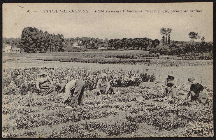 VERRIERES-LE-BUISSON.- Etablissements Vilmorin-Andrieux et Cie : Laboratoire de physiologie végétale (2 février 1928).