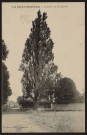 NORVILLE (LA).- La Bretonnière : l'arbre de la Liberté [1920-1930].