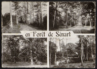 Brunoy.- En forêt de Sénart (23 août 1965). 