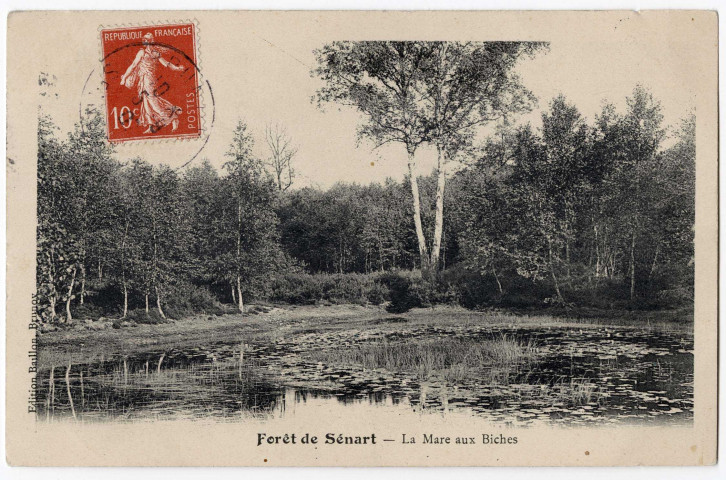 DRAVEIL. - Forêt de Sénart. La mare aux biches. Baillon (1907), 6 lignes, 10 c, ad. 