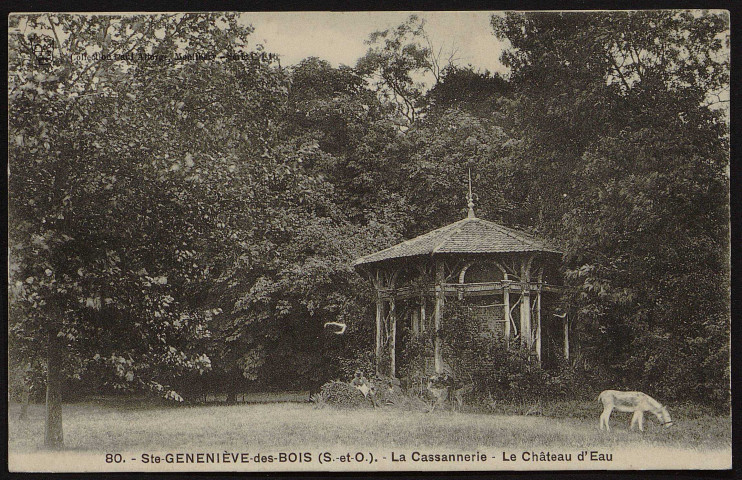SAINTE-GENEVIEVE-DES-BOIS.- La Cassannerie [1904-1920]. 