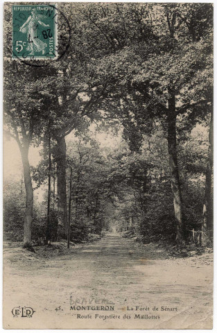 DRAVEIL. - La Forêt de Sénart. Route forestière des Maillottes. ELD, 3 mots, 5 c, ad. 