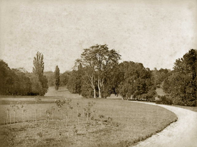 MEREVILLE. - Parc : le parc vu du perron au couchant, (1874). 