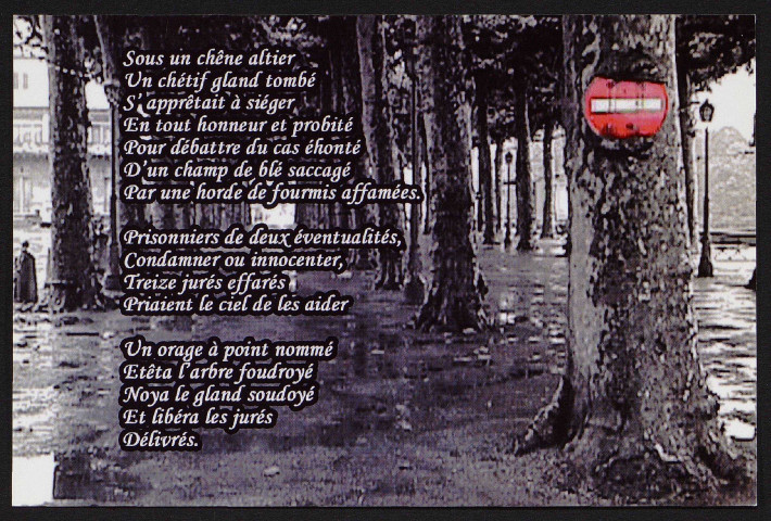 La vie au cœur des mots. Sous un chêne altier, poésie d'Anne Jacquemart et photo de Jean-Luc Pion, 2008.