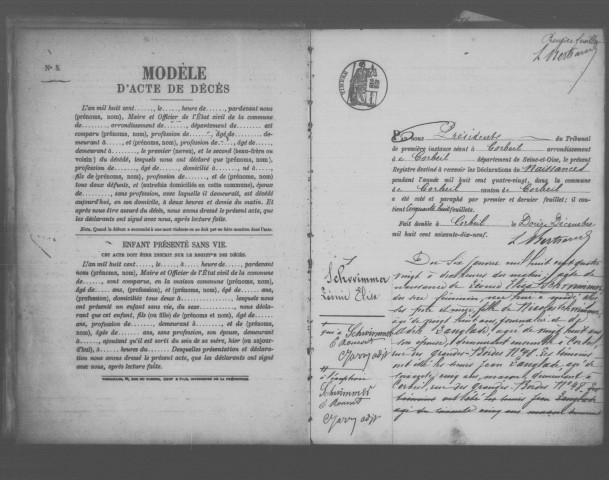 CORBEIL. Naissances : registre d'état civil (1880). 