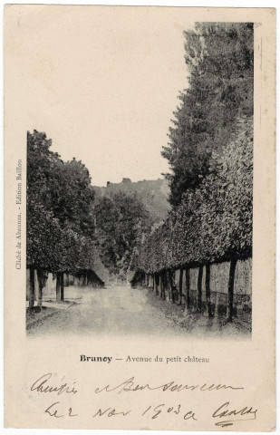 BRUNOY. - Avenue du petit château, Baillon, 1903, 2 lignes, 10 c, ad. 