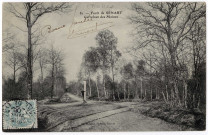 ETIOLLES. - Forêt de Sénart, carrefour des Moines [Editeur Mulard, 1906, timbre à 5 centimes]. 