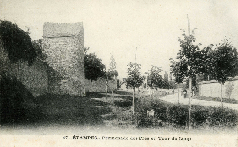 ETAMPES. - Promenade des Prés et tour du Loup [Editeur Royer]. 