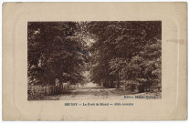 BRUNOY. - Forêt de Sénart. Allée couverte, Baillon, 1910, 4 mots, 5 c, ad., sépia. 