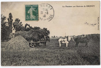 BRUNOY. - La fenaison aux environs de Brunoy. (Editeur Hapart, Brunoy, 1909, 1 timbre à 5 centimes). 