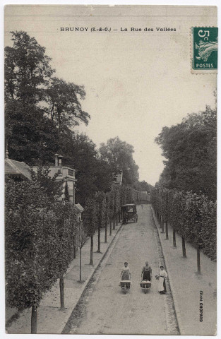 BRUNOY. - La rue des Vallées, 5 mots, 5 c, ad. 