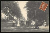 MONTGERON. - L'avenue du château. Edition Maison Ardant, 1911, 1 timbre à 5 centimes. 