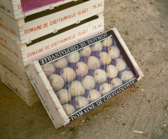 CHEPTAINVILLE. - Domaine de Cheptainville, pommes conditionnées en cageots ; couleur ; 5 cm x 5 cm [diapositive] (1960). 