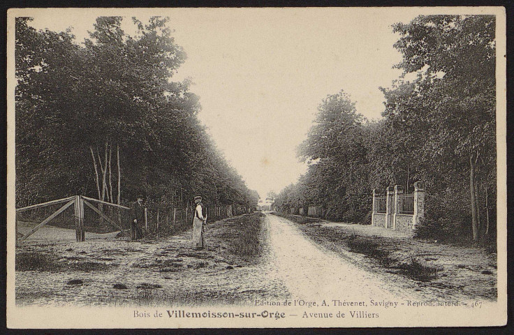 VILLEMOISSON-SUR-ORGE.- Bois de Villemoisson et avenue de Villiers (21 septembre 1911).