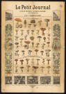 PARIS [Ville de]. - Le Petit Journal. Le plus répandu. Le mieux informé. Supplément illustré sur les champignons, espèces comestibles et non comestibles (1905). 