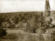 MEREVILLE. - Dépendances et parc : le pigeonnier et la grande sapinière, vue prise de la terrasse Nord du château, (1874). 