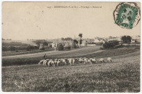 MEREVILLE. - Pâturages à Renonval [Editeur Mulard, 1921, timbre à 15 centimes]. 