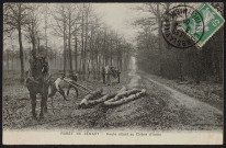 Route allant au chêne d'Antin (3 juin 1909).