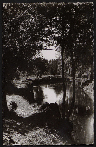 SAINTE-GENEVIEVE-DES-BOIS.- Les bords de l'Orge (17 juillet 1952). 