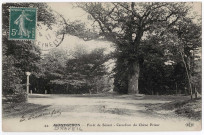 DRAVEIL. - Forêt de Sénart. Carrefour du Chêne Prieur. ELD (1911), 3 mots, 5 c, ad. 