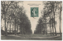 MONTGERON. - Avenue du château [Editeur Ardant, 1908, timbre à 5 centimes]. 