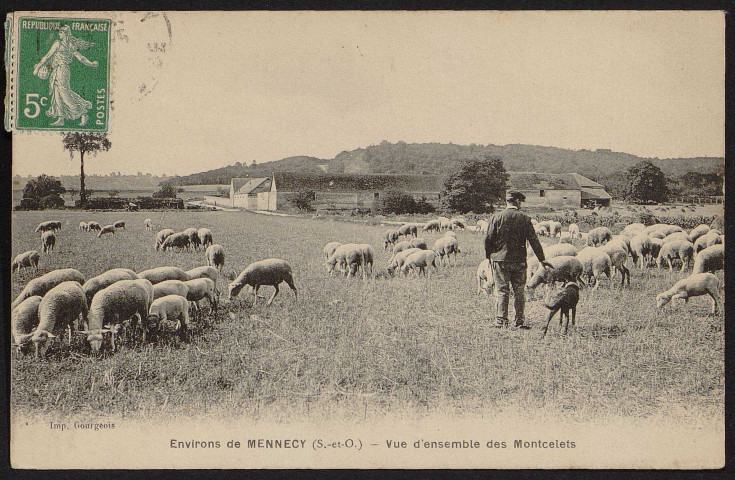 MENNECY.- Vue d'ensemble des Moncelets : troupeau de moutons (27 mai 1912).