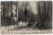 BRUNOY. - Rue des Vallées. Editeur Bréger, 1903, timbre à 10 centimes. 