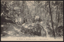 MARCOUSSIS.- La Ronce, dans le petit bois, 1924.