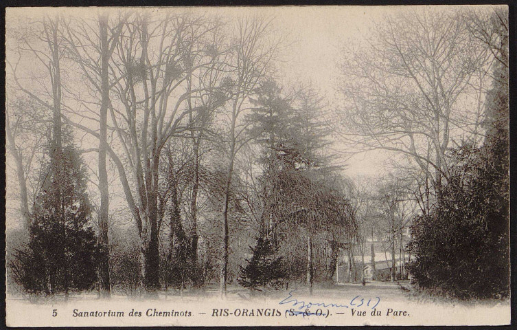 RIS-ORANGIS.- Sanatorium des cheminots : le parc (17 juin 1936).