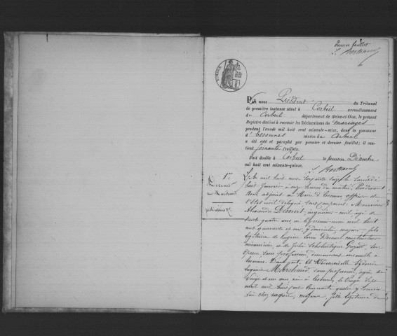 ESSONNES. Mariages : registre d'état civil (1876). 