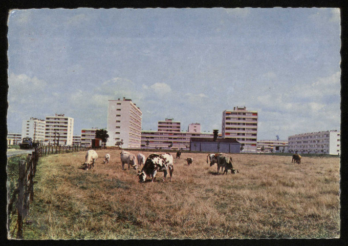 RIS-ORANGIS. - Les grands ensembles. (Photogravure Raymon, 1986, 1 timbre à 2 francs 20 centimes, couleur.) 