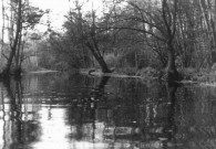 CHAMARANDE. - Vue de la Juine dans le parc [v. 1940 - 1944 ; don de M. Heinrich Heill] ; noir et blanc ; 12 cm x 8, 5 cm (2010). 