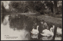 VERRIERES-LE-BUISSON.- Le lac : Coin de l'île [1904-1920].