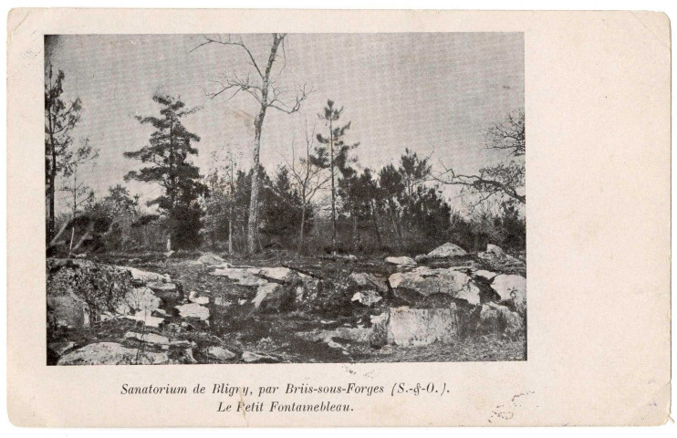 BRIIS-SOUS-FORGES. - Sanatorium de Bligny. Le Petit-Fontainebleau, Imprimerie Nouvelle. 