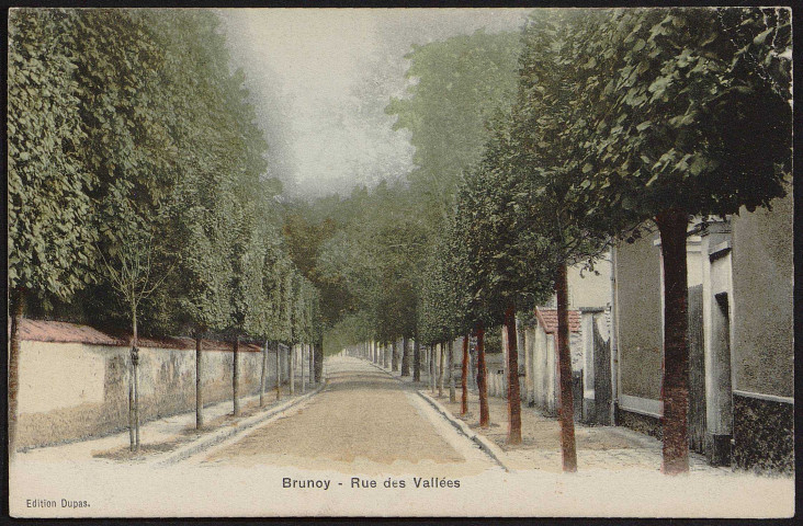 Brunoy.- Rue des Vallées. 