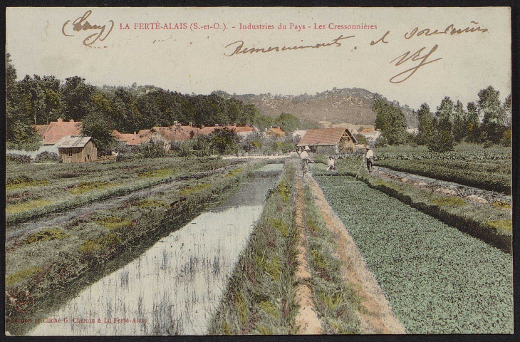 Ferté-Alais (la).- Industries du pays : Les cressonnières ( 12 février 1905). 