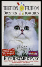 EVRY. - Téléthon et félithon : grande exposition de 600 chats et chatons, Hippodrome d'Evry, 3 décembre-4 décembre 1994. 