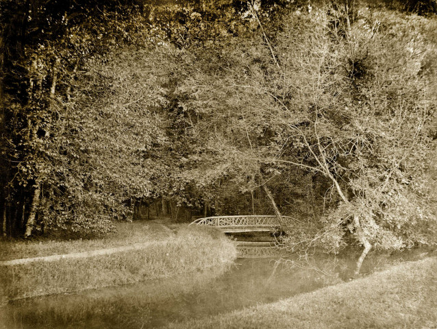 MEREVILLE. - Parc : petit pont de l'île du Vieux Temple, (1874). 
