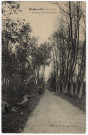 BOIGNEVILLE. - Avenue de Chantambre, CB, 1910, 13 lignes, 10 c, ad. 