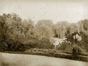 MEREVILLE. - Parc : partie du parc vue de la terrasse Est, (1874). 