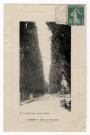 CROSNE. - Allée des Peupliers, Ricquebourg, 1913, 3 lignes, 5 c, ad. 
