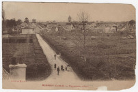 ORMOY. - Panorama d'Ormoy [Editeur Mirabel, sépia]. 