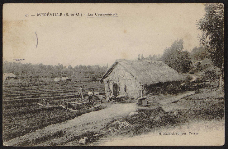 MEREVILLE.- Les cressonnières [1904-1910].