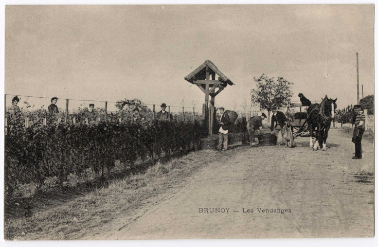 BRUNOY. - Les vendanges. (1904, 1 timbre à 5 centimes). 