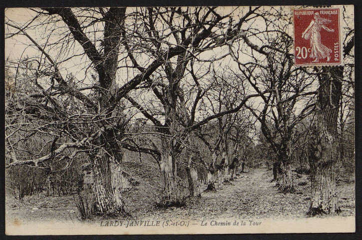 Janville-sur-Juine.- Le chemin de la tour [de Pocancy], 1925. 