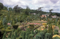 CHEPTAINVILLE. - Domaine de Cheptainville, pépinière et parc floral ; couleur ; 5 cm x 5 cm [diapositive] [v. 1960]. 