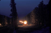 CHEPTAINVILLE. - Domaine de Cheptainville, plantations, lutte contre le gel, chauffage avec des gélivores ; couleur ; 5 cm x 5 cm [diapositive] (1960). 