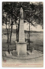 DANNEMOIS. - Le monument des Francs-Tireurs de 1870. Chemin, 5 mots, ad. 