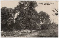 PUISELET-LE-MARAIS. - La route des bois [Collection Rameau]. 
