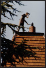 Montlhéry.- Le maréchal ferrant sur le toit de l'hôtel de ville [2002-2009]. 